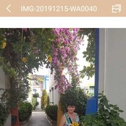 ���������� ������, ���� ������� Larissa, 61 ���, ������������ ��� ����� � ���������, c�������� ���������