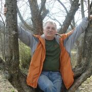 ���������� �����, ���� ������� �������, 59 ���, ������������ ��� ������, ����� � ���������