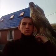  ,   , 38 ,   ,   , c , 