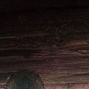 ���������� �����������, ���� ������� Anatoly, 41 ���, ������������ ��� ������, ����� � ���������