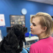 ���������� ������, ���� ������� ����, 31 ���, ������������ 