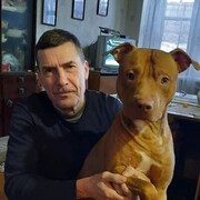 ���������� ������, ���� ������� ���������, 66 ���, ������������ ��� ������, ����� � ���������