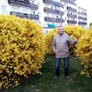  ,   , 63 ,   ,   , c 