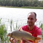 ���������� ��������, ���� ������� ����, 48 ���, ������������ ��� ������, ����� � ���������