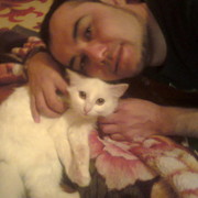  ,   , 40 ,   ,   , c 