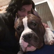 ���������� ������, ���� ������� �������, 38 ���, ������������ ��� ������, c�������� ���������