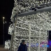 ���������� �����-���������, ���� ������� �������, 40 ���, ������������ ��� ������, ����� � ���������