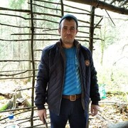  ,   , 39 ,   ,   