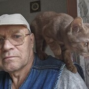 ���������� ������, ���� ������� ���, 71 ���, ������������ ��� ������