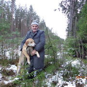 ���������� ����������, ���� ������� ��������, 81 ���, ������������ ��� ������, ����� � ���������