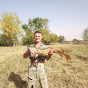 ���������� �������, ���� ������� ��������, 37 ���, ������������ ��� ������, ����� � ���������, c�������� ���������, ���������