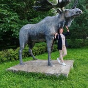 ���������� ������, ���� ������� ��������, 49 ���, ������������ ��� c�������� ���������