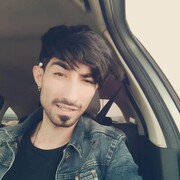  Zitiste,  Yvz, 31