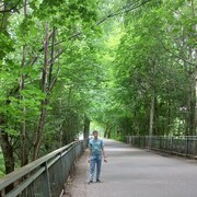 ���������� �����������, ���� ������� ����, 36 ���, ������������ ��� ������, ����� � ���������, ���������