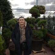  ,   , 51 ,   c 