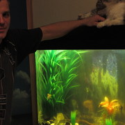 ���������� ���������, ���� ������� ������, 45 ���, ������������ ��� ������, ����� � ���������, c�������� ���������