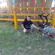 ���������� ������, ���� ������� �������, 38 ���, ������������ ��� ������, ����� � ���������, c�������� ���������