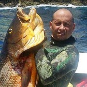 ���������� ������ ��������, ���� ������� ��������, 57 ���, ������������ ��� ������