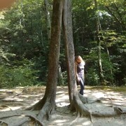 ���������� ���������, ���� ������� ���, 41 ���, ������������ ��� c�������� ���������