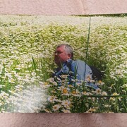  Cerny Most,  , 66