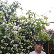  ,   , 62 ,   ,   , c 