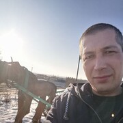 ���������� ������, ���� ������� ������, 41 ���, ������������ ��� c�������� ���������, ���������