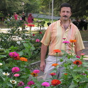 ���������� ����, ���� ������� ������, 60 ���, ������������ ��� ������