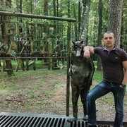  ,   , 39 ,   