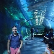 ���������� �������, ���� ������� ������, 43 ����, ������������ ��� ������, ����� � ���������, c�������� ���������