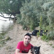 ���������� ���������, ���� ������� ������, 36 ���, ������������ ��� ������, ����� � ���������, c�������� ���������, ���������