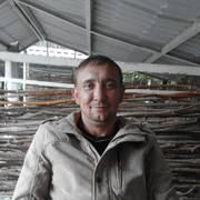 ,   , 46 ,   
