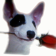 ���������� ������, ���� ������� ����, 58 ���, ������������ ��� ����� � ���������, c�������� ���������