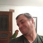 ���������� �������, ���� ������� �������, 44 ����, ������������ ��� ������, ����� � ���������, c�������� ���������