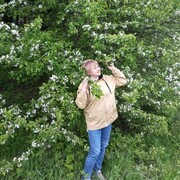  ,   , 58 ,     , c 
