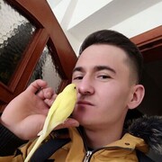  ,   , 31 ,     , c 