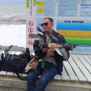 ���������� ���������, ���� ������� �������, 40 ���, ������������ ��� ������, ����� � ���������, c�������� ���������