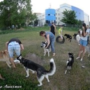 ���������� ��������, ���� ������� Sergei, 39 ���, ������������ ��� ������