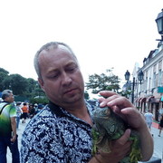 ���������� ����������, ���� ������� ����, 50 ���, ������������ ��� ������, ����� � ���������, c�������� ���������