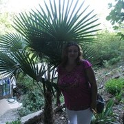 ���������� ��������, ���� ������� �������, 40 ���, ������������ ��� ������, ����� � ���������, c�������� ���������