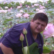  ,   , 56 ,   