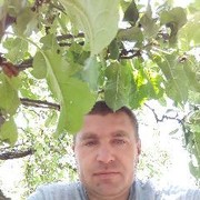  ,  Tibi, 43