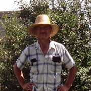 ���������� �������, ������� ���������, 60