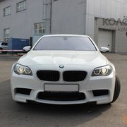 ���������� ������, ���� ������� Erlan, 42 ����, ������������ ��� ������, ����� � ���������, c�������� ���������