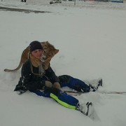 ���������� ����������, ���� ������� ������, 37 ���, ������������ ��� ������, ����� � ���������, c�������� ���������