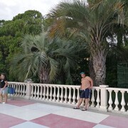 ���������� ���������, ���� ������� �������, 40 ���, ������������ ��� ������, ����� � ���������, c�������� ���������