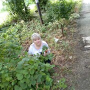  ,   , 53 ,   