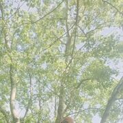  ,   Mikhail, 48 ,   ,   , c , 