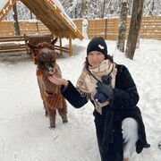 ���������� ����������, ���� ������� ���������, 38 ���, ������������ ��� ������, ����� � ���������, c�������� ���������