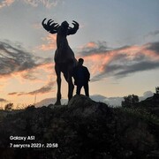 ���������� ������������, ���� ������� ����������, 34 ����, ������������ ��� ������, ����� � ���������, c�������� ���������