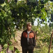  ,   , 54 ,     , c , 